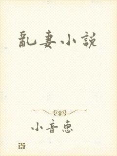 乱妻小说