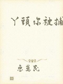 丫头你被捕了封面
