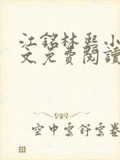 江铭林熙小说全文免费阅读