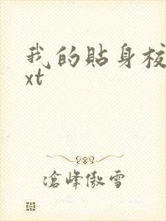 我的贴身校花txt封面