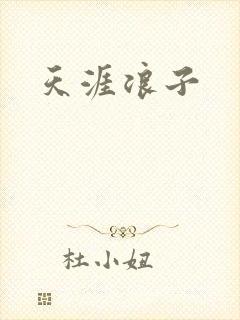 天涯浪子封面