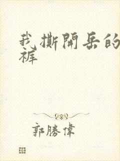 我撕开岳的丁字裤封面