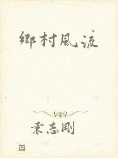 乡村风流封面