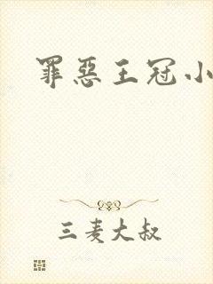 罪恶王冠小说封面