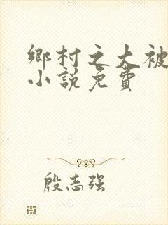 乡村之大被同眠小说免费