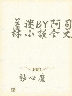 着迷BY阿司匹林小说全文免费阅读