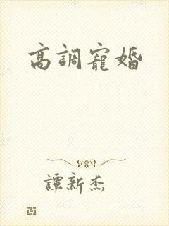 高调宠婚