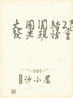 大团圆结2闪闪发光亲情会