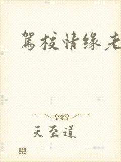 驾校情缘老赵