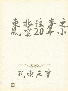 东北往事之黑道风云20年小说