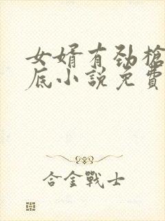 女婿有劲枪枪到底小说免费看封面