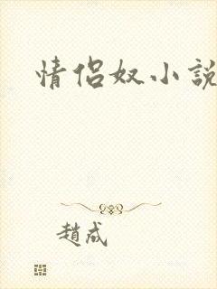 情侣奴小说