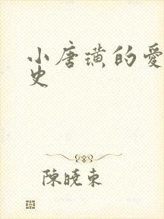 小唐璜的爱情历史