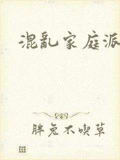 混乱家庭派对封面