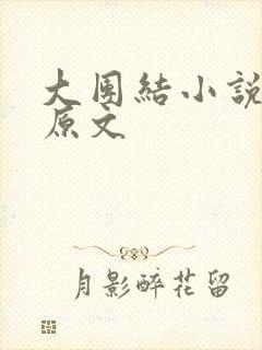 大团结小说阅读原文封面