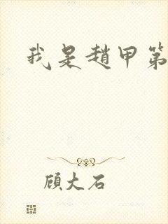 我是赵甲第小说