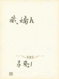 藏娇h