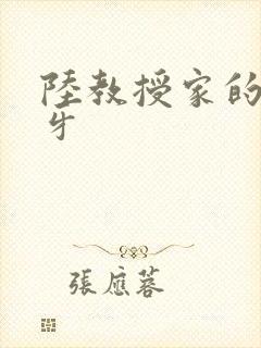 陆教授家的小月牙封面