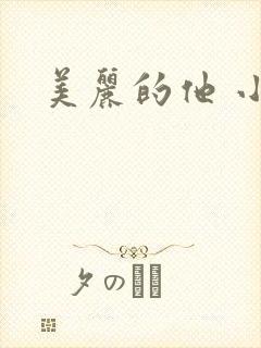 美丽的他 小说