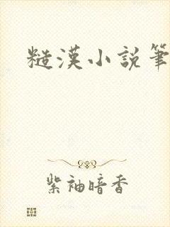 糙汉小说笔趣阁