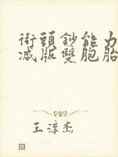 街头钞能力无删减版双胞胎