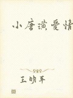 小唐璜爱情历史