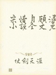 宋惜月顾浔渊的小说全文免费阅读封面
