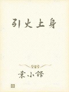 引火上身封面
