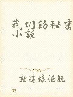 我们的秘密泰剧小说封面