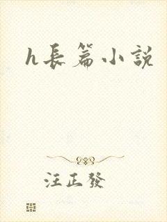 h长篇小说封面