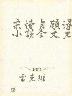 宋惜月顾浔渊的小说全文免费阅读