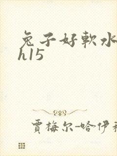兔子好软水好多h15封面