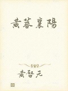 黄蓉襄阳