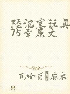 陆沉塞玩具高速75章原文