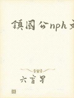 镇国公nph文
