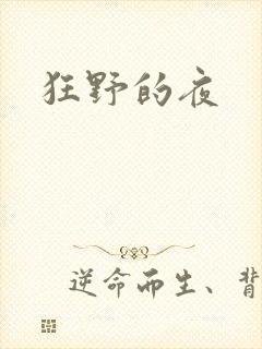 狂野的夜封面