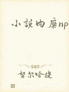 小说肉糜np