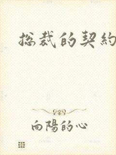 总裁的契约妻