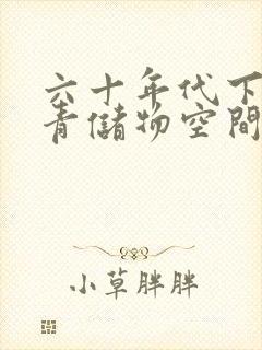 六十年代下乡知青储物空间封面