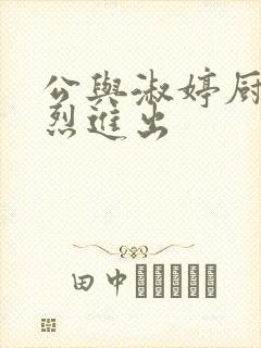 公与淑婷厨房猛烈进出