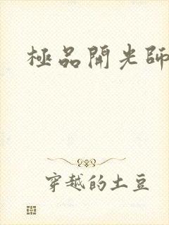 极品开光师