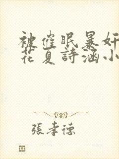 被催眠暴奸的校花夏诗涵小说封面