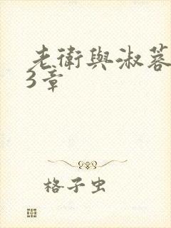 老卫与淑蓉第13章