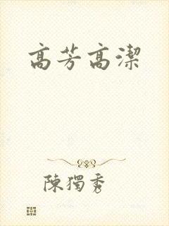 高芳高洁封面
