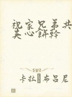 祝家兄弟共享后夹心饼干封面