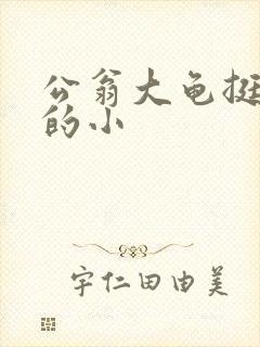 公翁大龟挺进我的小