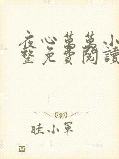 夜心万万小说完整免费阅读全文封面