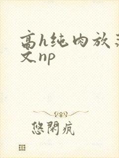 高h纯肉放荡h文np