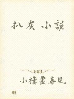 扒灰 小说封面