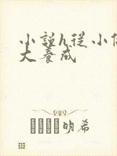 小说h从小做到大养成